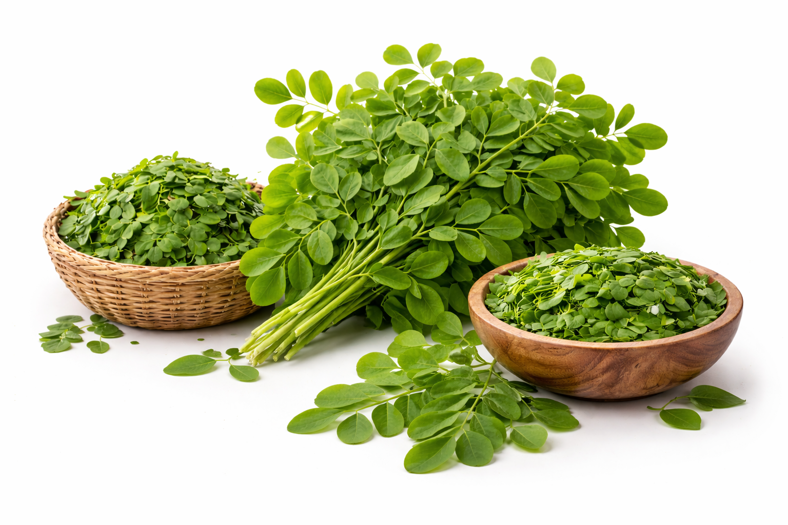 Fresh moringa leaves exporter from India - Matre Exim